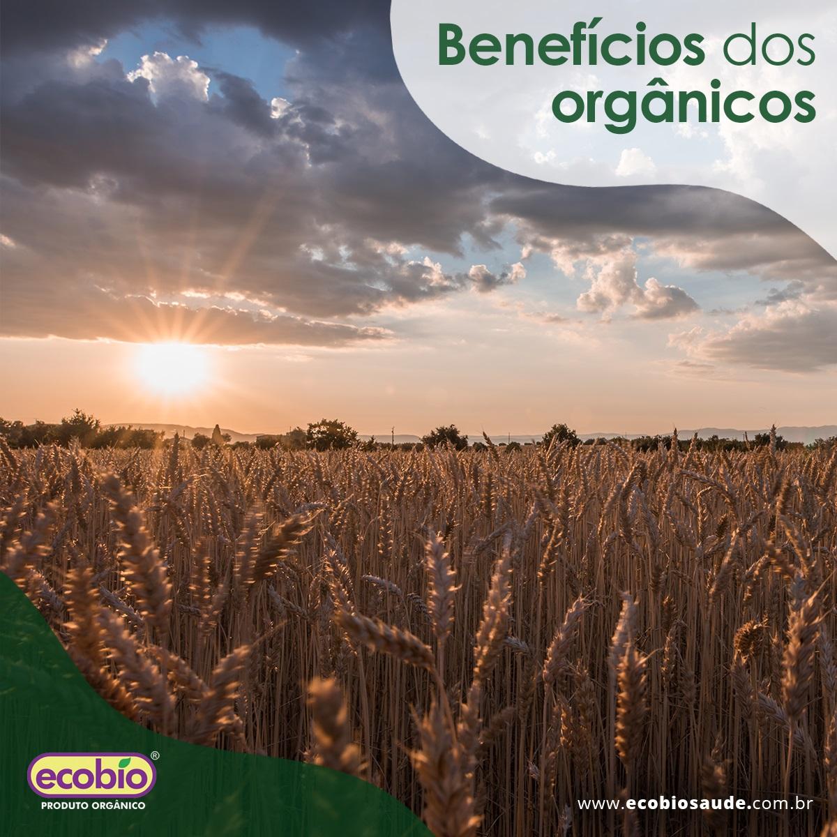 Benefícios dos orgânicos